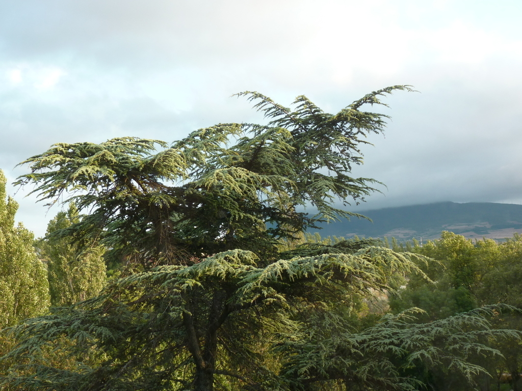 No s'ha trobat l'arxiu